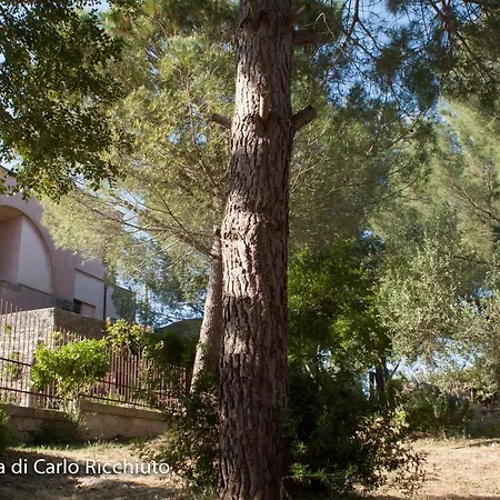 Masseria Moresano Bed & Breakfast *
