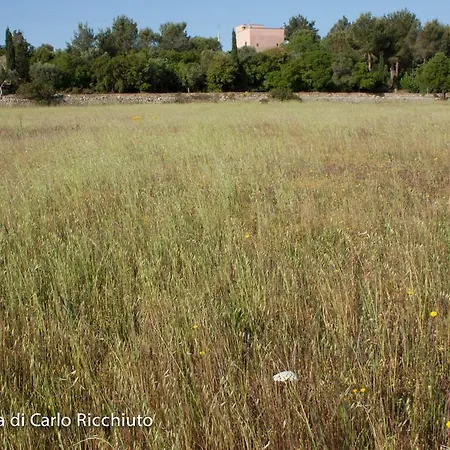 לינה וארוחת בוקר Masseria Moresano אוג'נטו